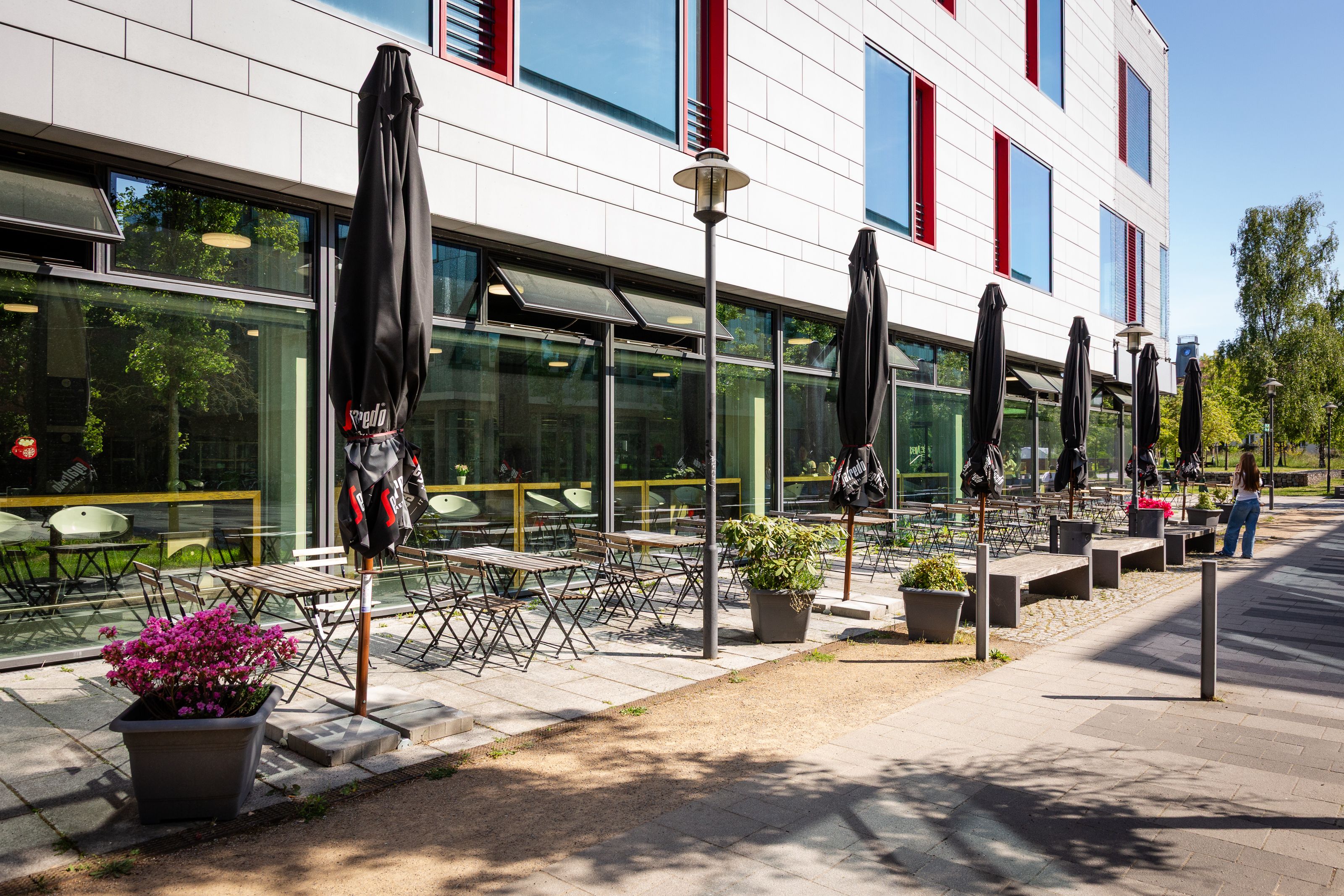 Our catering gallery